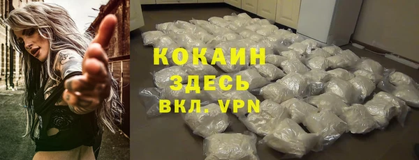 прущая мука Новодвинск