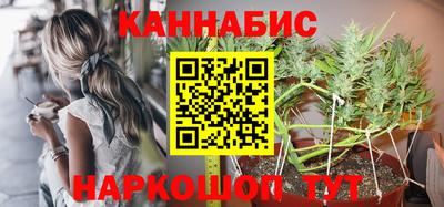 Альфа ПВП Бийск