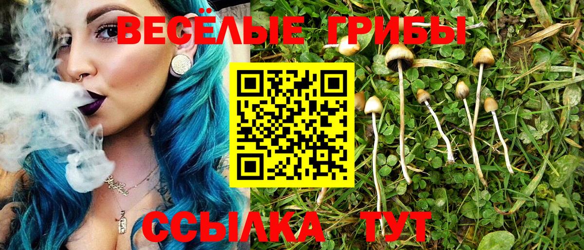 Псилоцибиновые грибы прущие грибы  Надым  Галлюциногенные грибы ЛСД 
